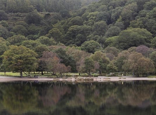 A Peaceful Place To Repose