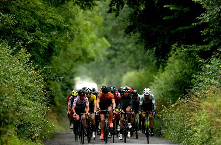 Pedaling Through Leafy Limerick