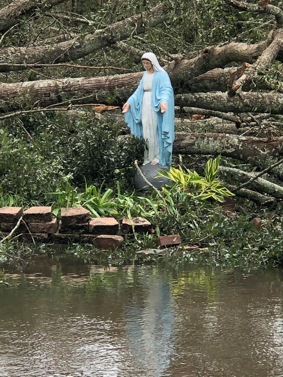 Lady of the storm