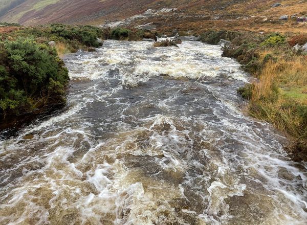 Wild Wicklow Waters