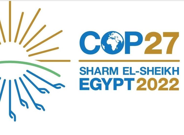 ADAMS: Another Conference Faces the Climate Crisis