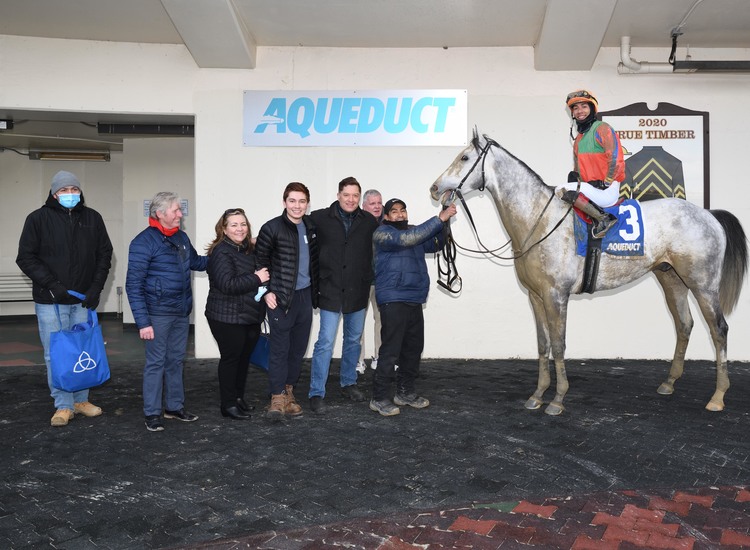 Duggan gelding makes  the grade in Toboggan