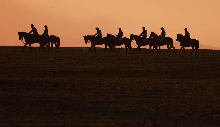 Horses & riders return