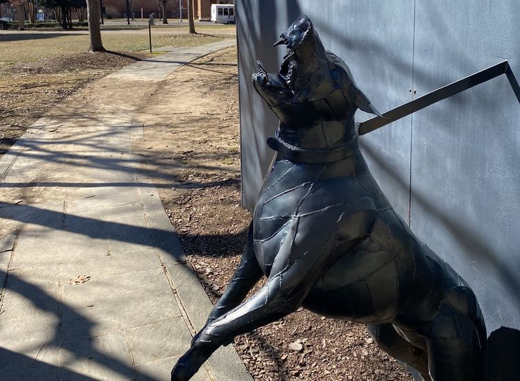 60 years after civil rights struggle, do black lives really matter in Birmingham, Alabama?