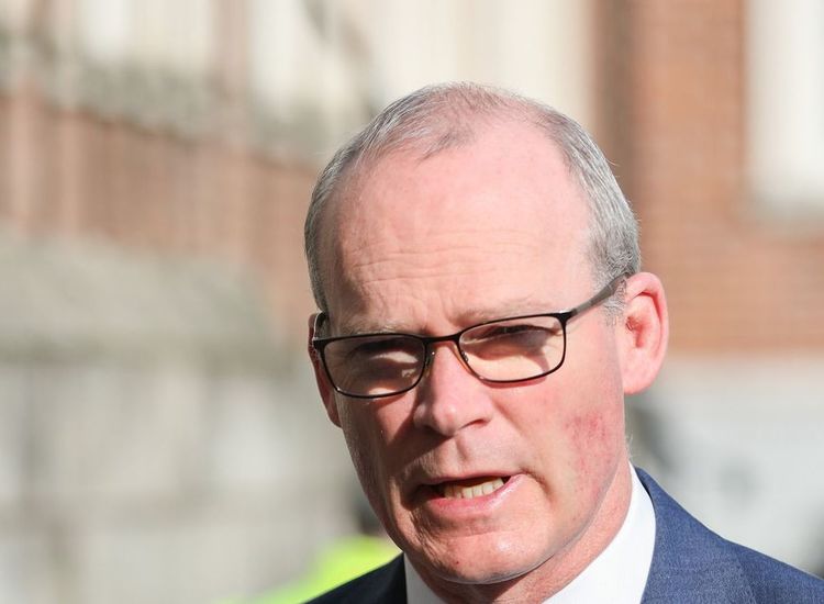 Visa Rule a Threat to All Island Tourism: Coveney