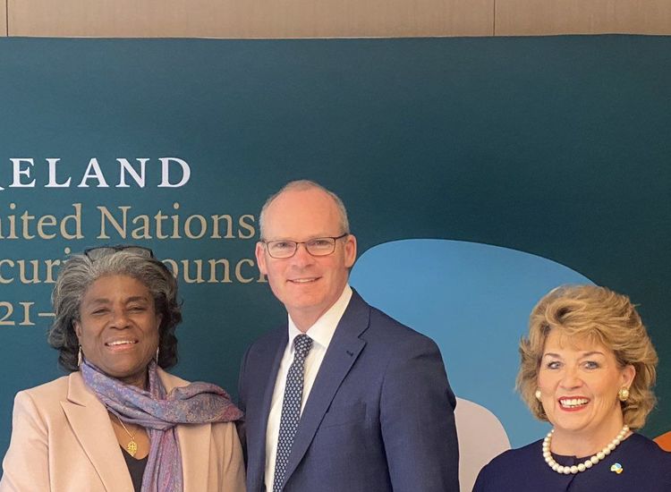 At UN, Coveney Describes Death and Destruction