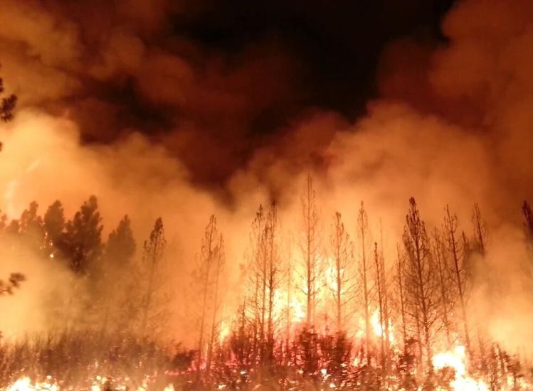 O'SHEA: Global Warming and the Midterm Elections