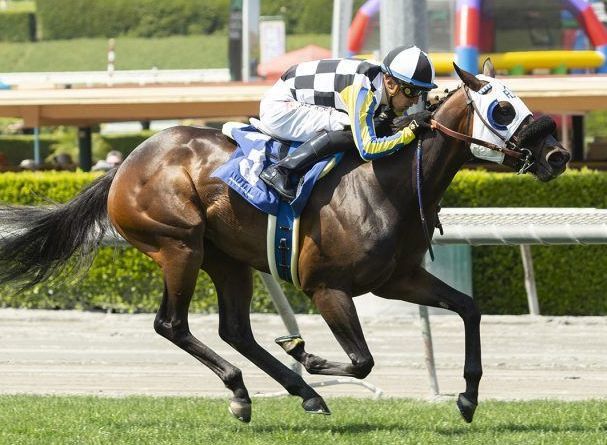 Longshot shocker gets Galway assist
