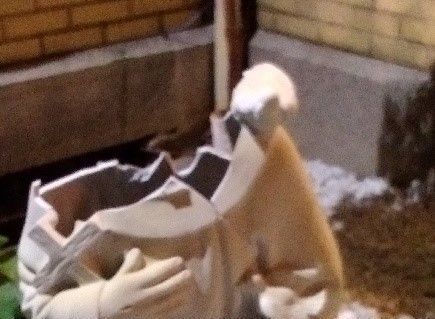 Religious Statues Destroyed at Buffalo Church