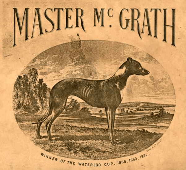 Master McGrath was superstar greyhound