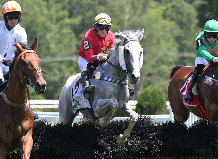 Daltons, McEntee revel in wins