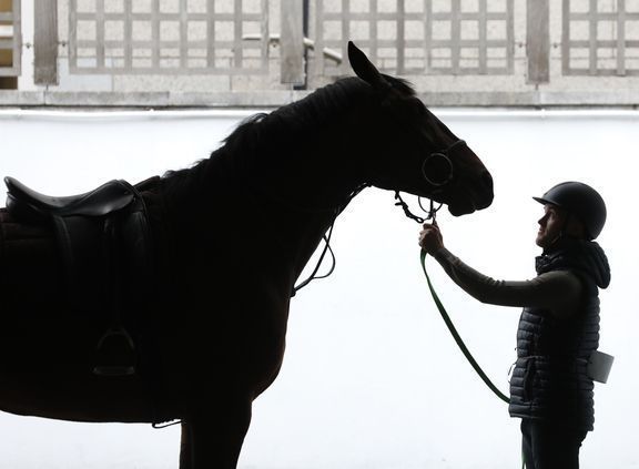 Horse Show Week in Dublin