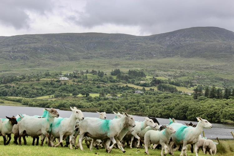 Sojourn in the Kingdom: Part 1