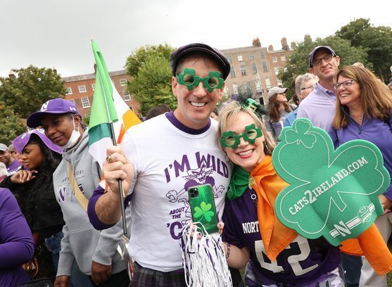 Wildcats On The Loose in Dublin