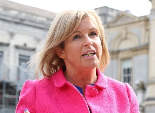 AOH Webinar Will Focus on Amnesty Bill