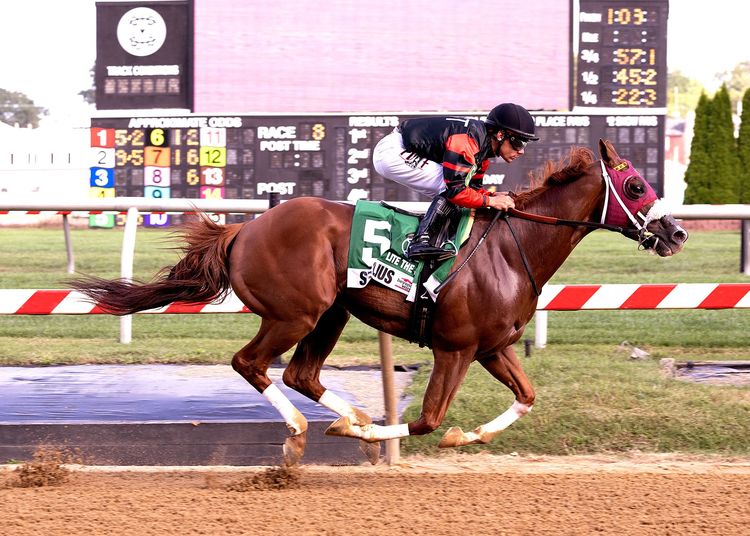 Sibelius puts O'Dwyer in Pimblico winner's circle