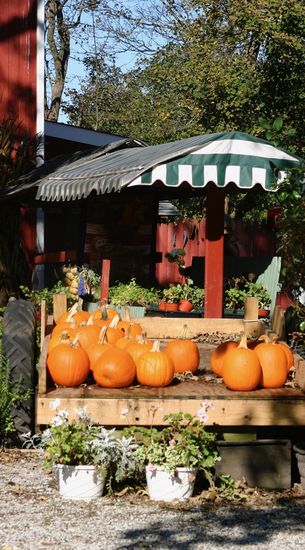 Autumn Leaves & Loaves