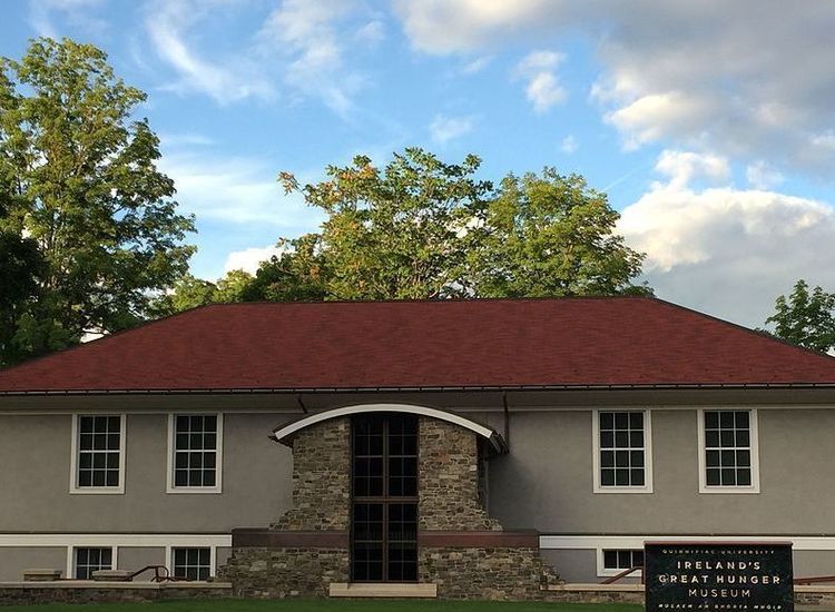 Broadside From Great Hunger Museum Group