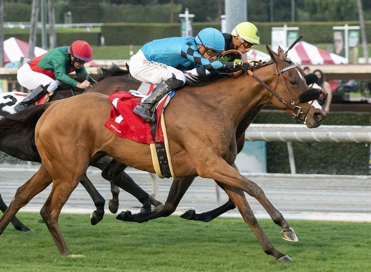 Bonanza for Graham, Walsh