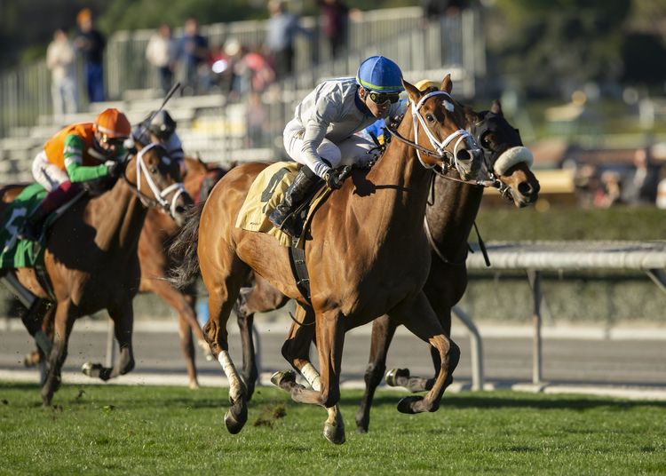 Two stakes wins for Graham