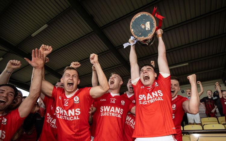 Éire Óg reclaim Carlow crown