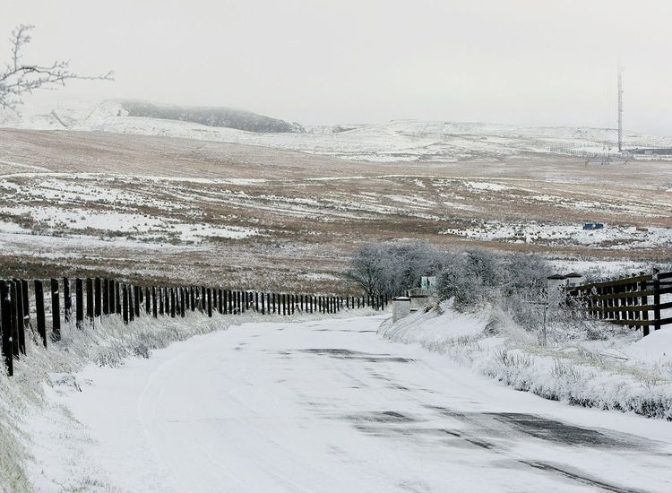 Exclusive extract from upcoming novel by Timothy O'Grady:  'The music rumbled in the ground, pierced and shook in the air'