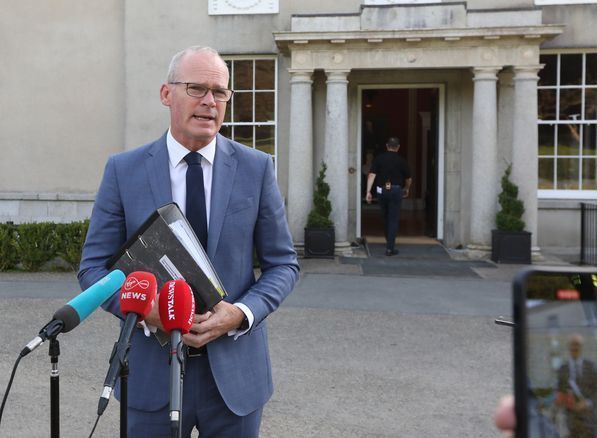 Coveney Weighs in Behind Higgins