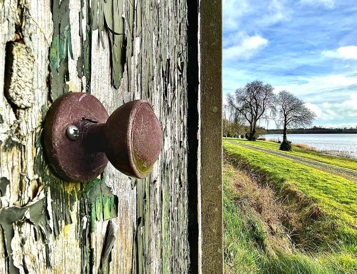 Seeking quiet, finding bliss