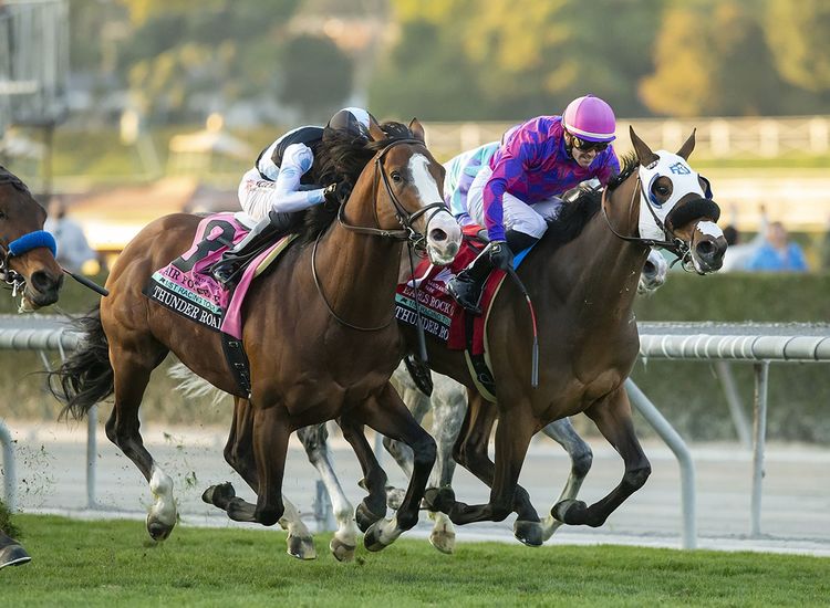 Irish-breds make the grade at Santa Anita