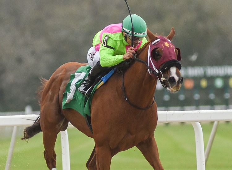 O’Dwyer sends out Tampa stakes winner