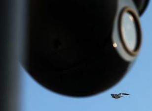 Beijing's Bird's Eye?