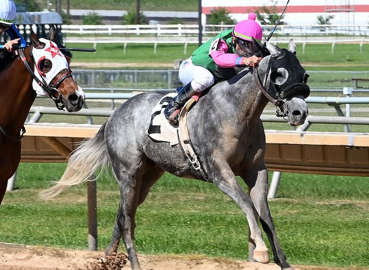 A big Saturday for globetrotter O'Dwyer