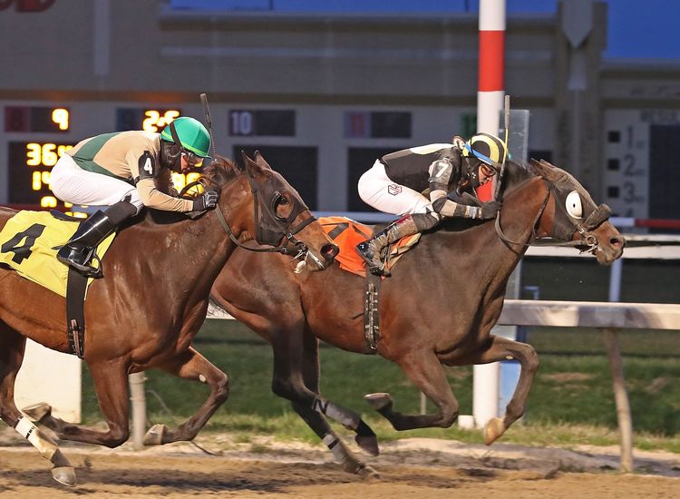 RACING: Agnew stock paying big bucks