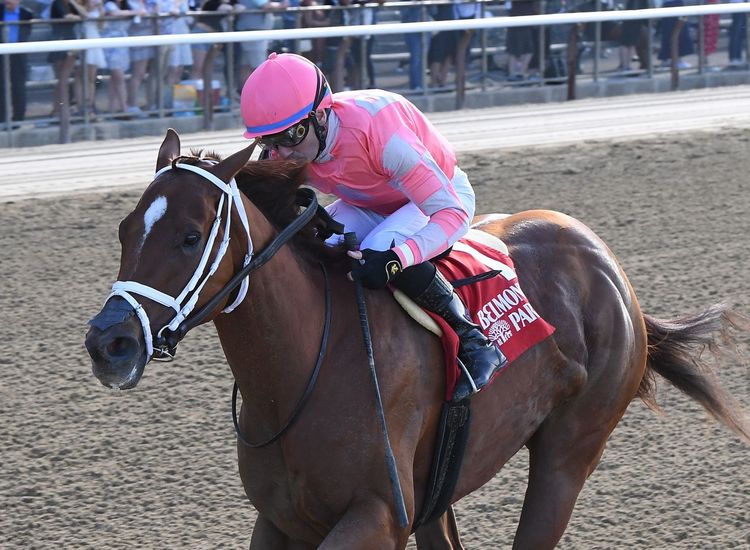 RACING: 3yo filly comes up big for Walsh