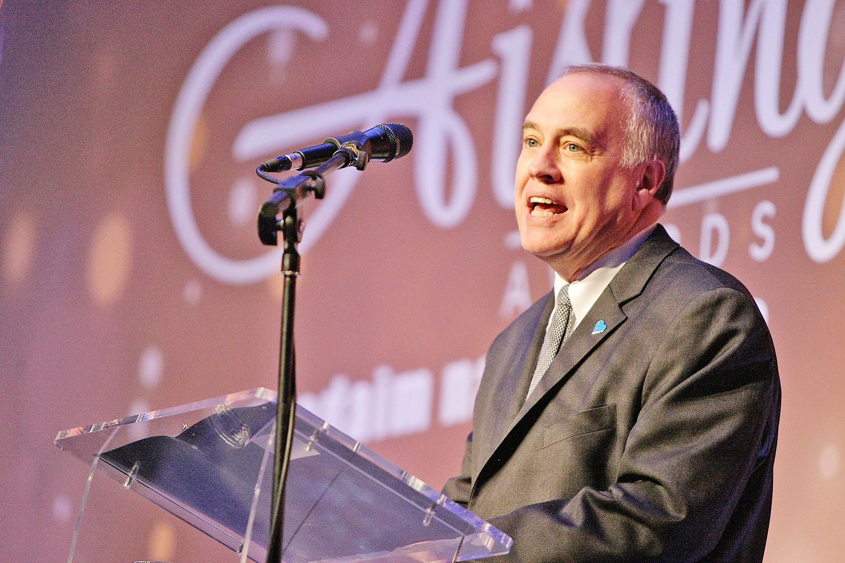 Tom dinapoli aisling awards