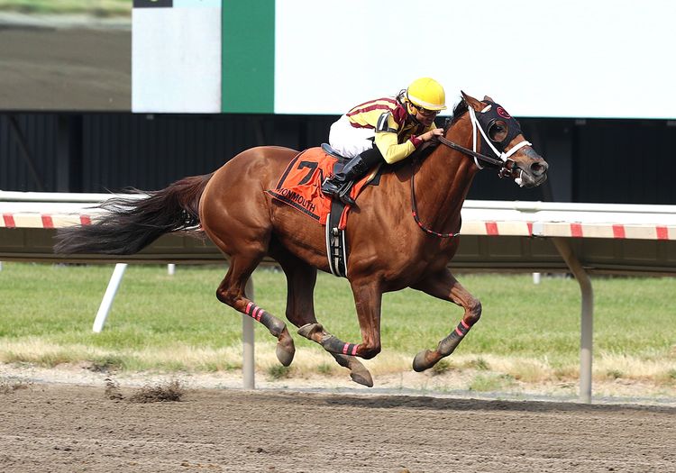 Lynch's Irish Boolum wins on Sunday at New Jersey Irish Fest