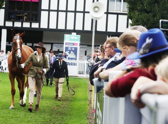 Day One at Horse Show