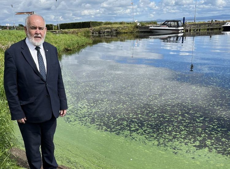 ADAMS: Lough Neagh Facing an Ecological Disaster