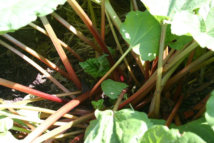 Derek & Dad's plan goes awry