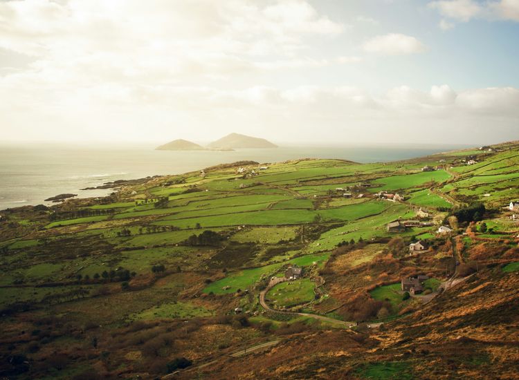 BOOKS: Through the eyes of three pioneers, the hard road to the American dream reimagined