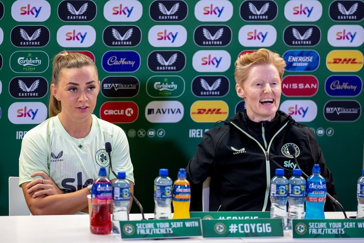 FAI won't renew Gleeson's contract as women's boss
