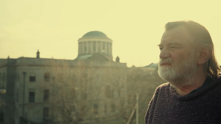 Gleeson's 'balm for my soul'