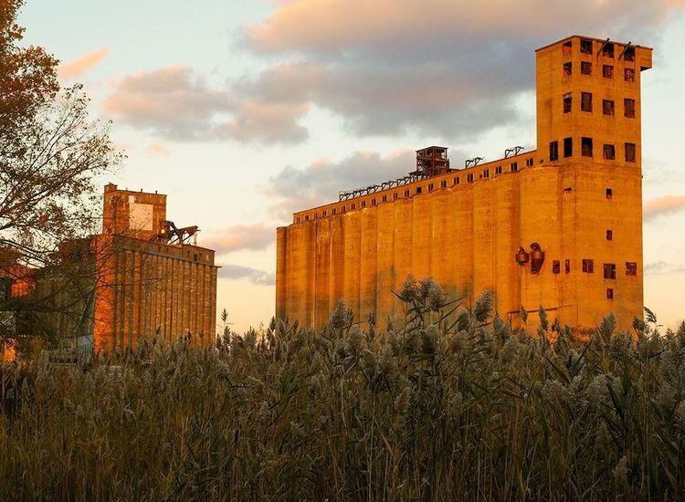 Introducing First Ten 'Heroes' Heading to Buffalo Irish Gala