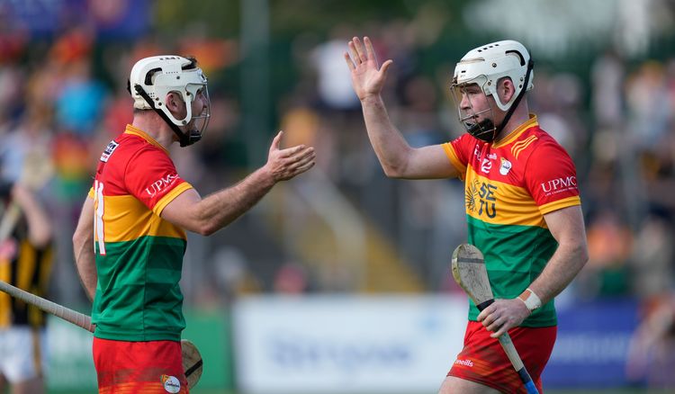 Carlow stun Cats, share spoils
