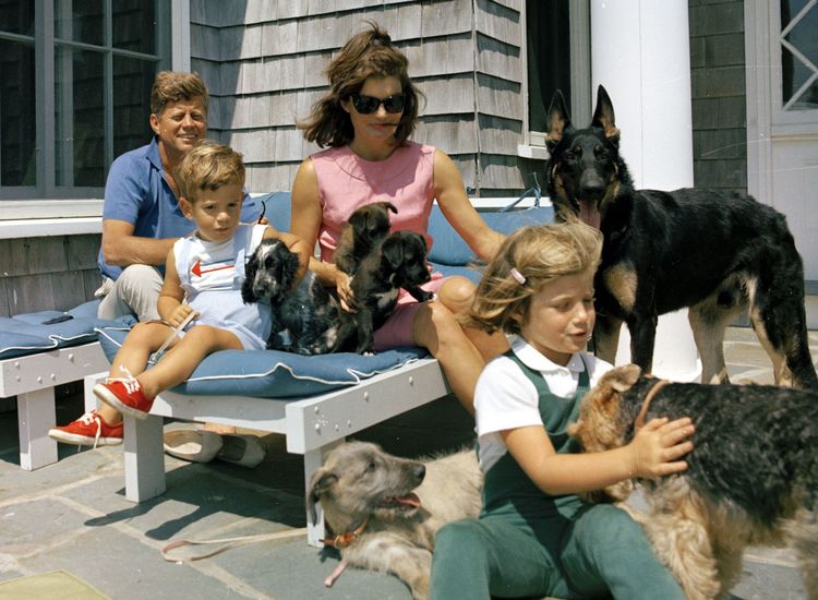 EDITORIAL: Going to the Dogs