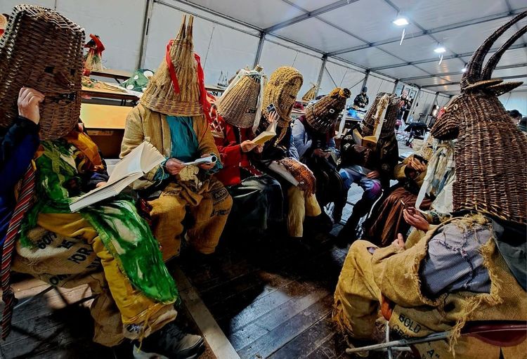 'Whirring Wings' is wonderful