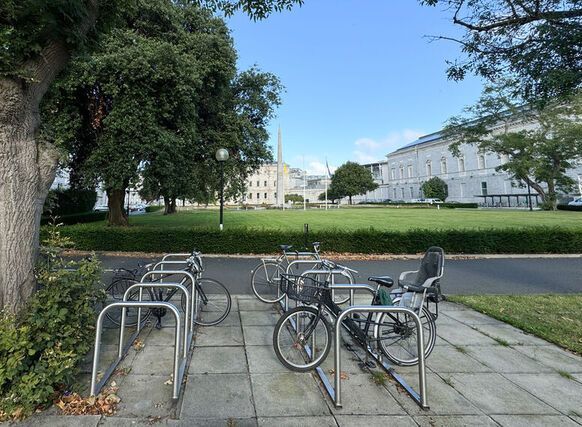 Shelter, What Shelter?