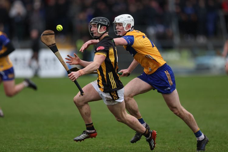 Cats show promise for 2025