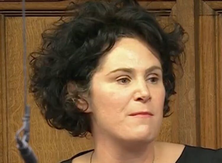 SDLP's Hanna Wants 'New Island' Ministry