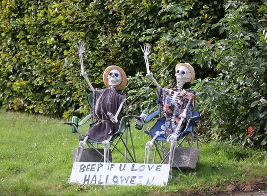 Bare Bones Celebration